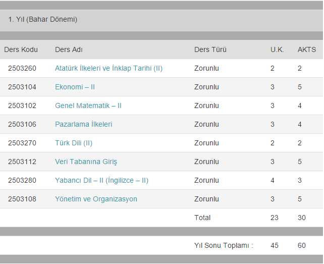 Yönetim Bilişim Sistemleri Bölümü Dersleri-2